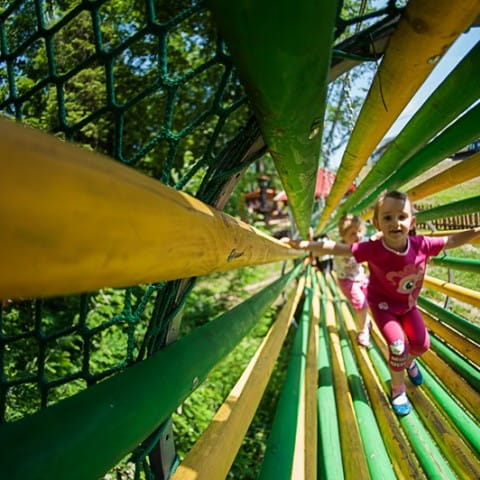 Parki Zoolandia - Parki linowe przy ogrodach zoologicznych